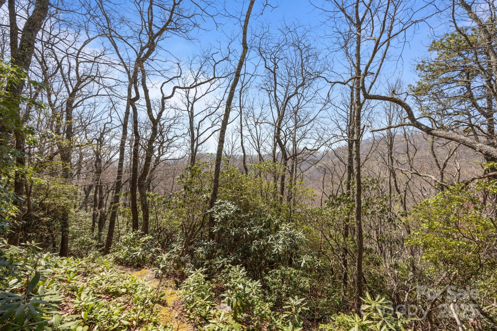 00 Rock Springs Road #10 - Photo 40