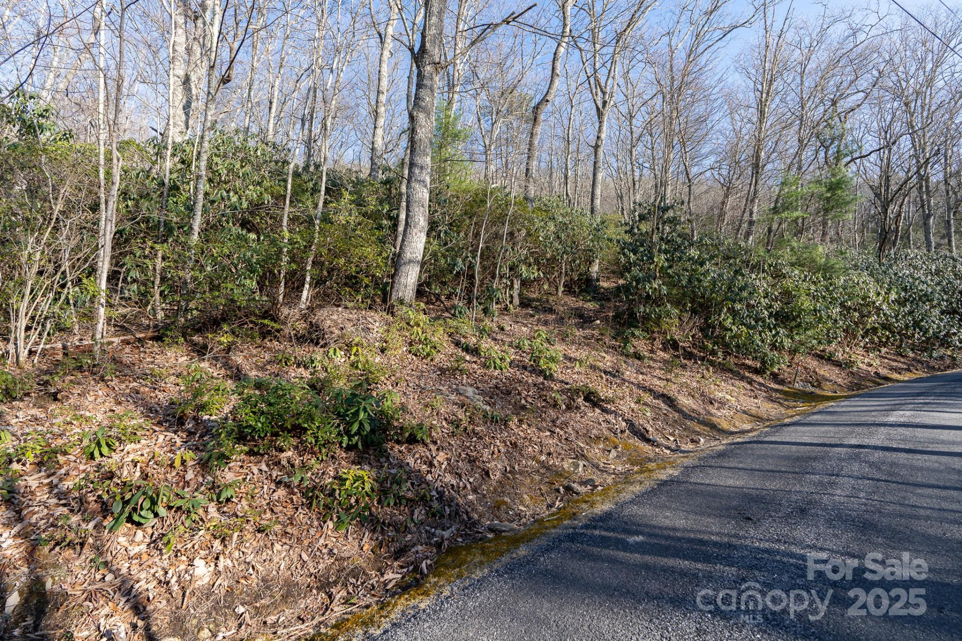 00 Rock Springs Road #10 - Photo 6