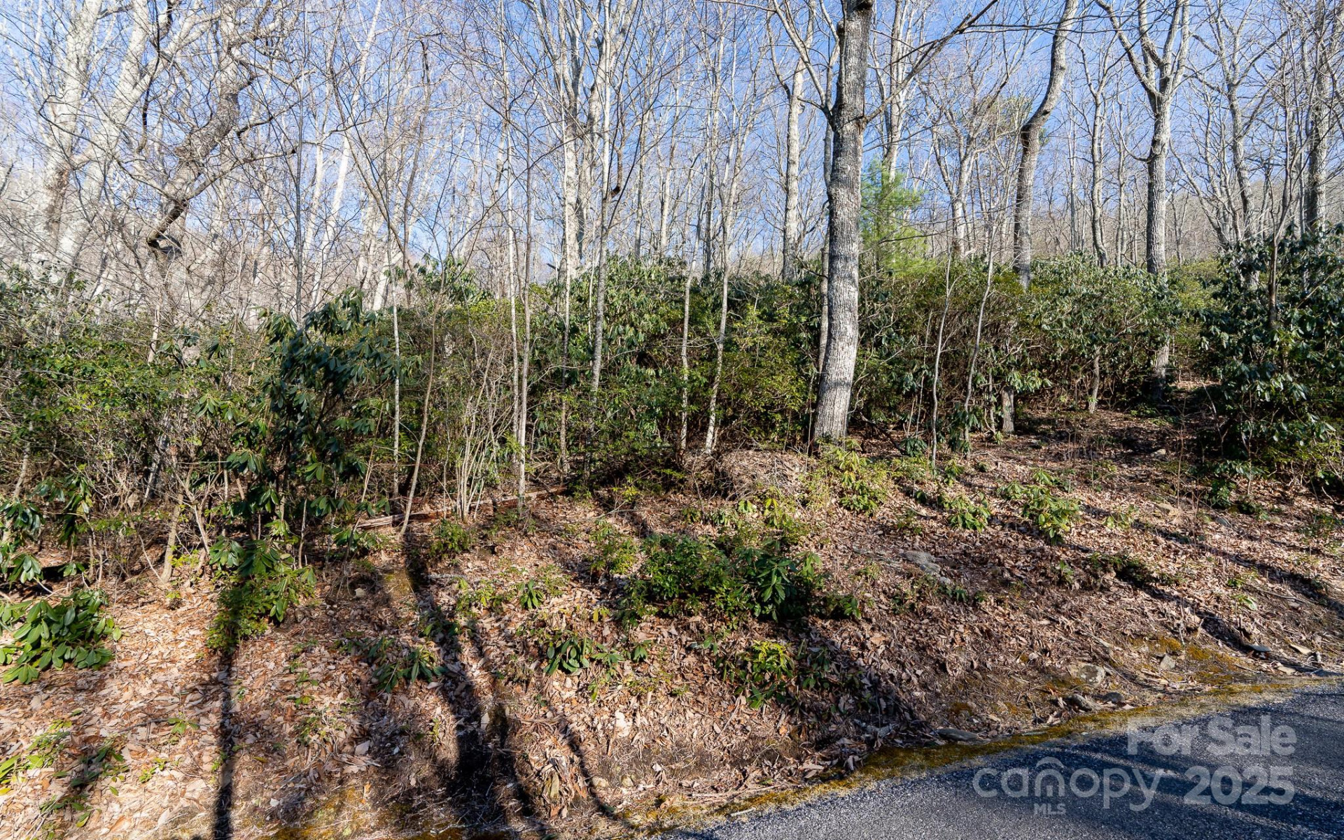00 Rock Springs Road #10 - Photo 7