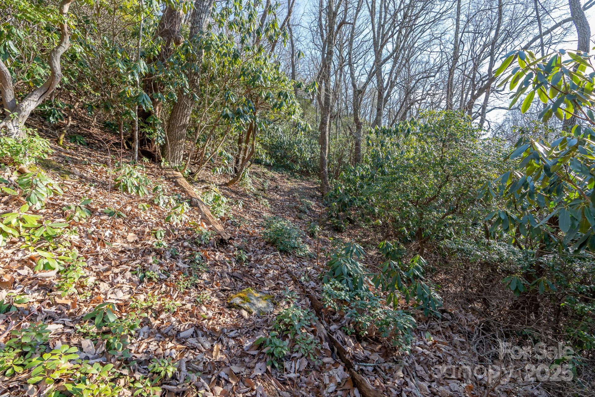 00 Rock Springs Road #10 - Photo 8