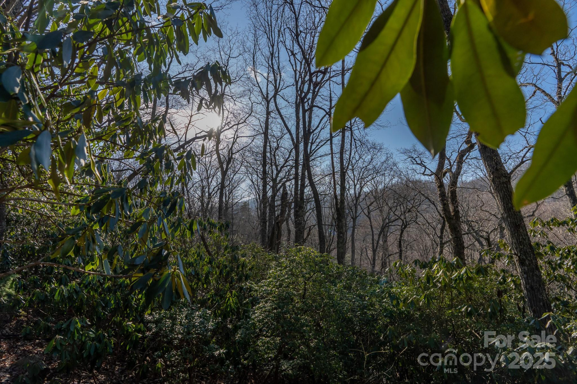 00 Rock Springs Road #10 - Photo 9