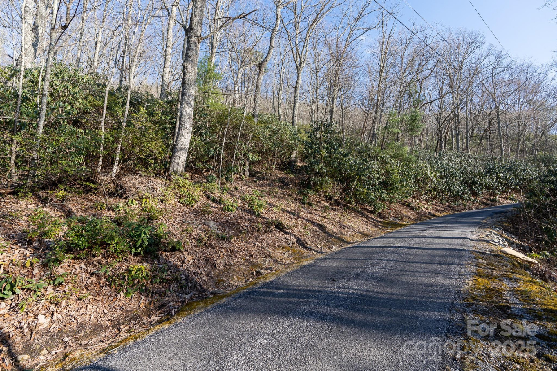 00 Rock Springs Road #10 - Photo 10