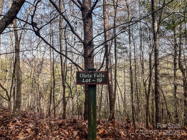 0000 Stepp Ridge Court