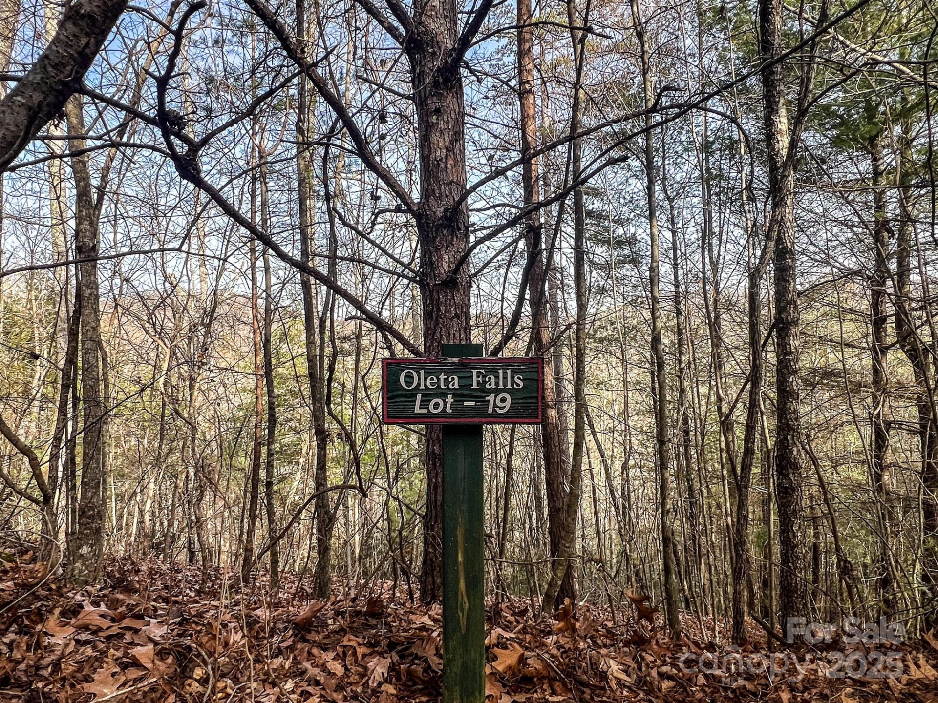 0000 Stepp Ridge Court