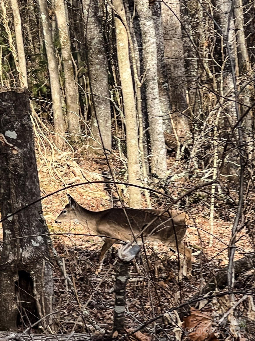 0000 Stepp Ridge Court - Photo 17
