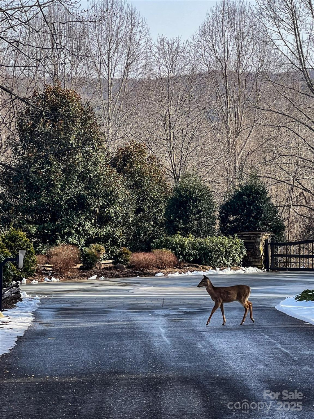 0000 Stepp Ridge Court - Photo 18