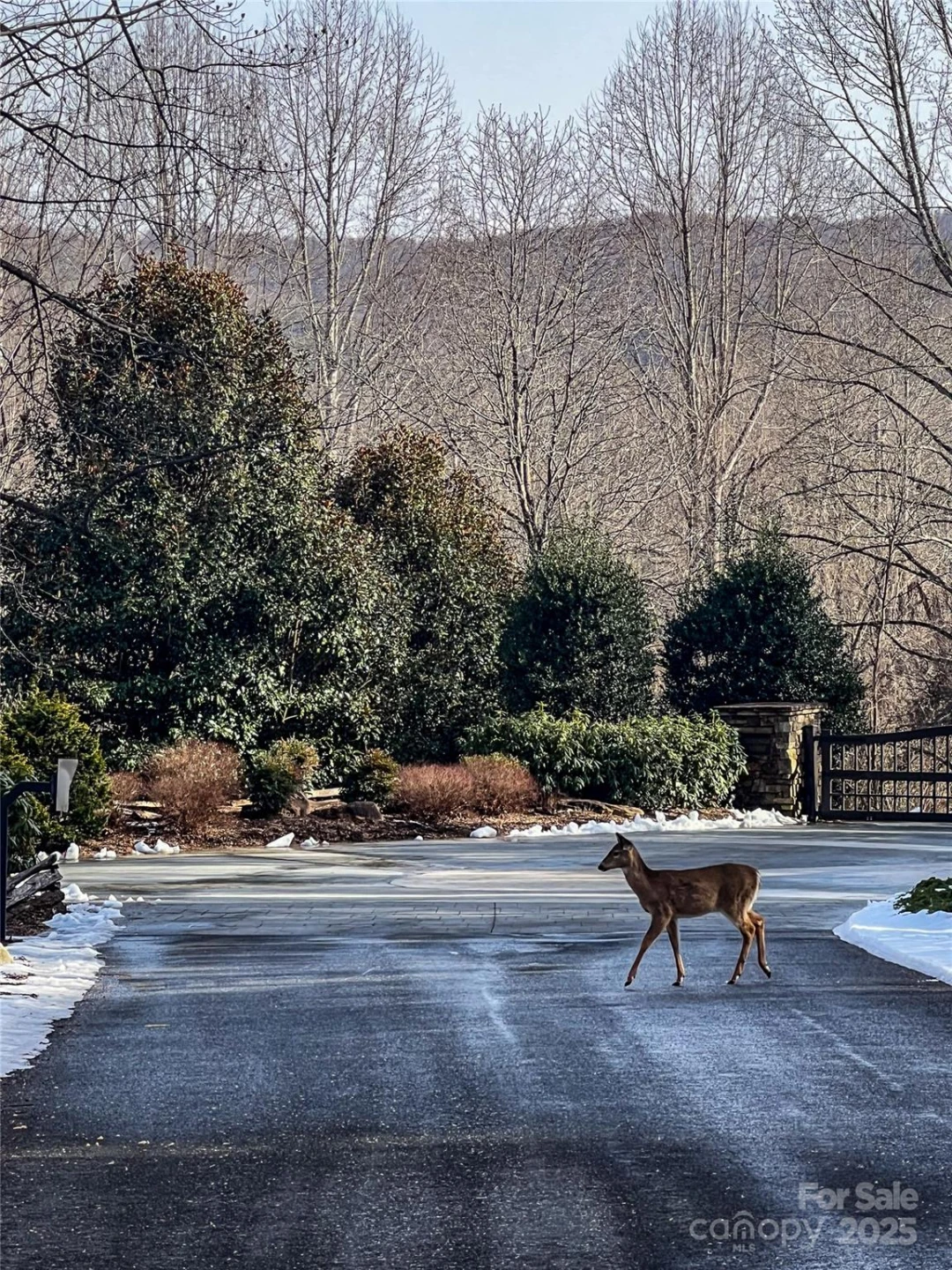 0000 Stepp Ridge Court - Photo 18