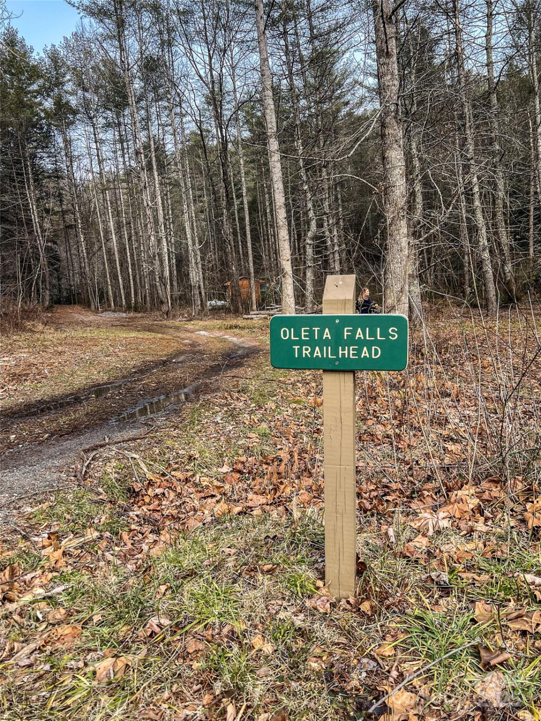 0000 Stepp Ridge Court - Photo 19