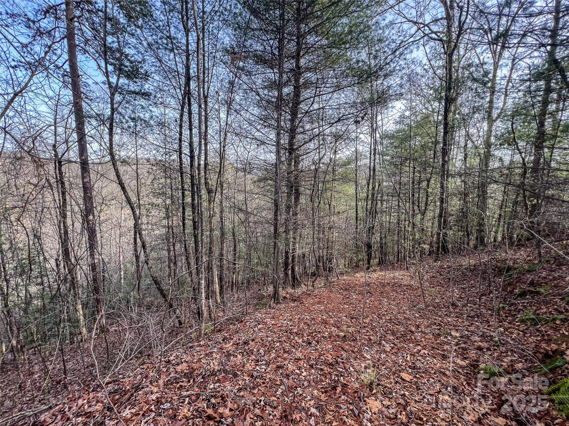 0000 Stepp Ridge Court - Photo 5