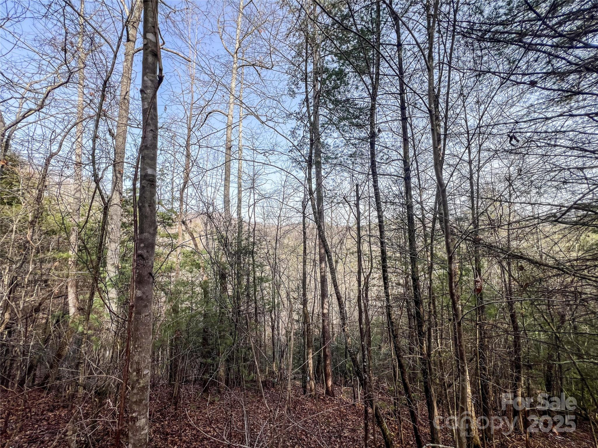 0000 Stepp Ridge Court - Photo 7