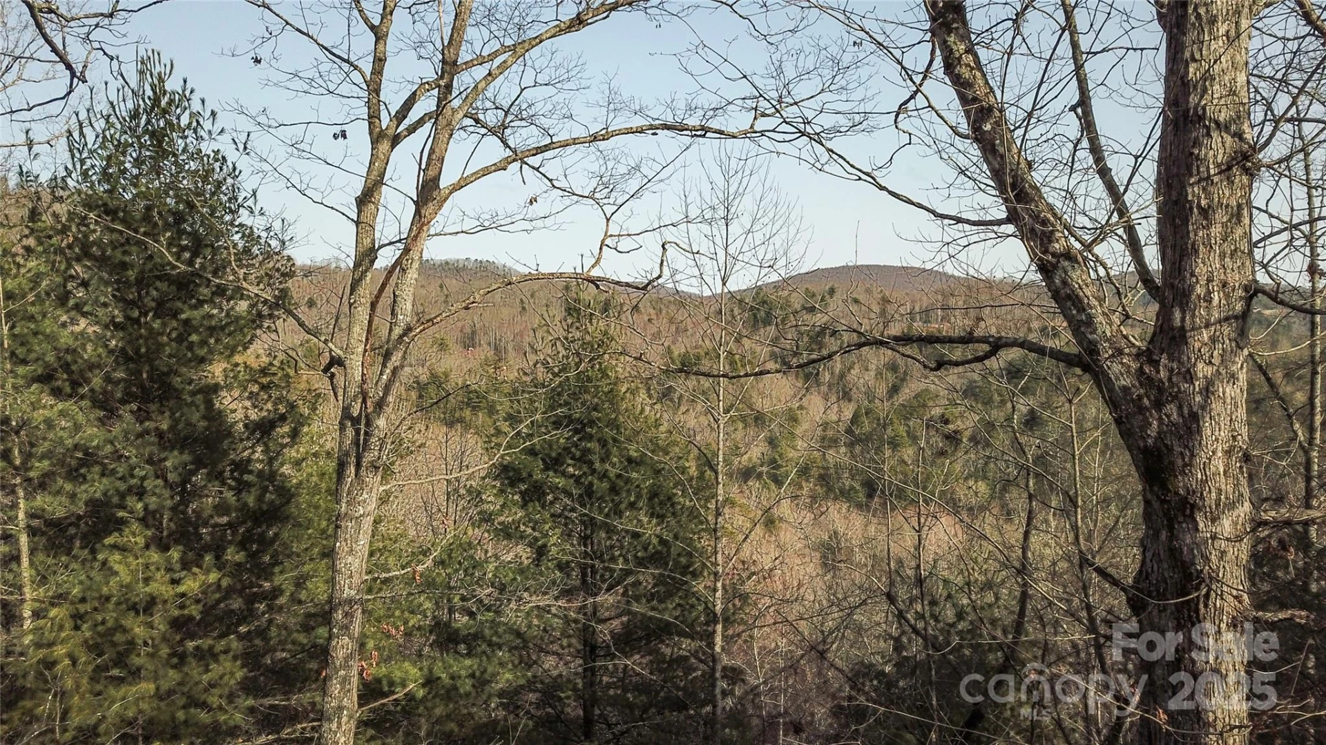 0000 Stepp Ridge Court - Photo 8