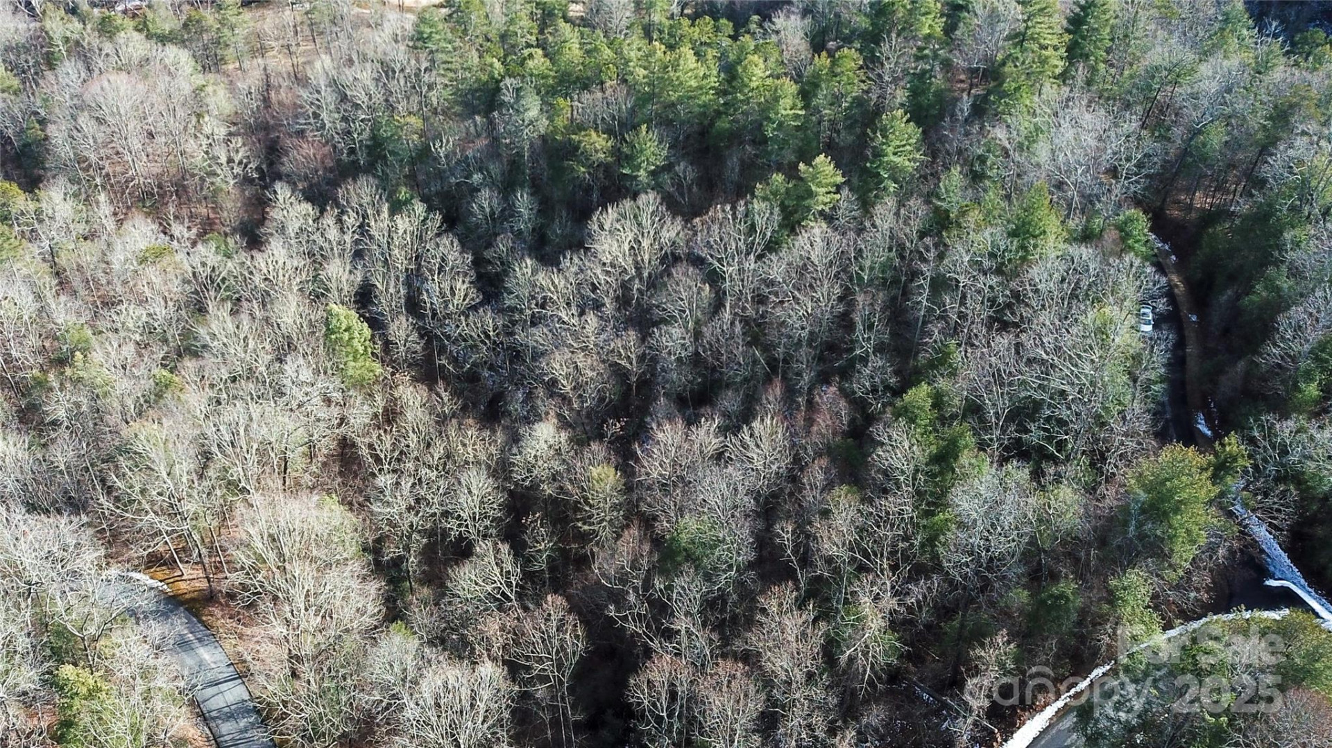 0000 Stepp Ridge Court - Photo 10