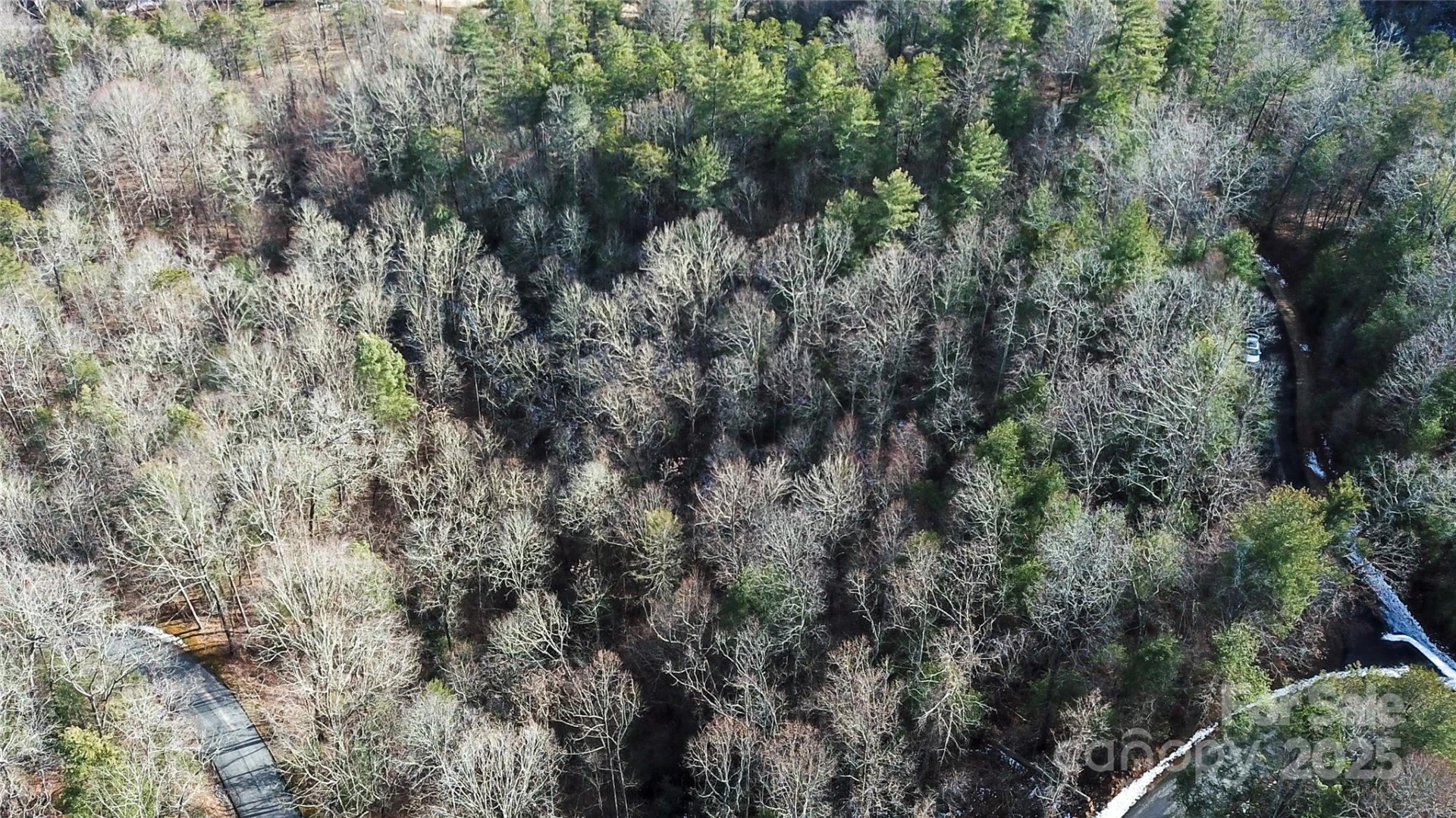 0000 Stepp Ridge Court - Photo 10