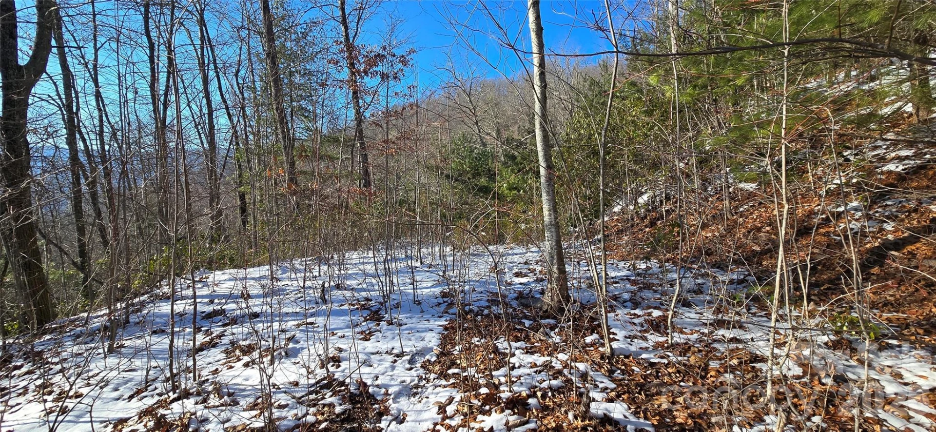 Lot 11 Bernies Trail