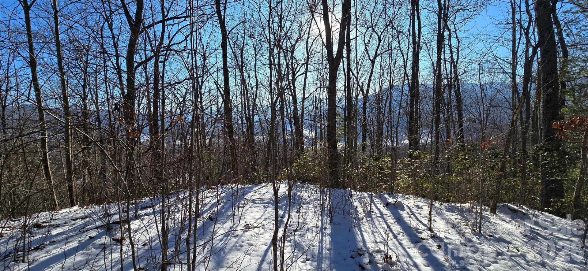 Lot 11 Bernies Trail - Photo 2