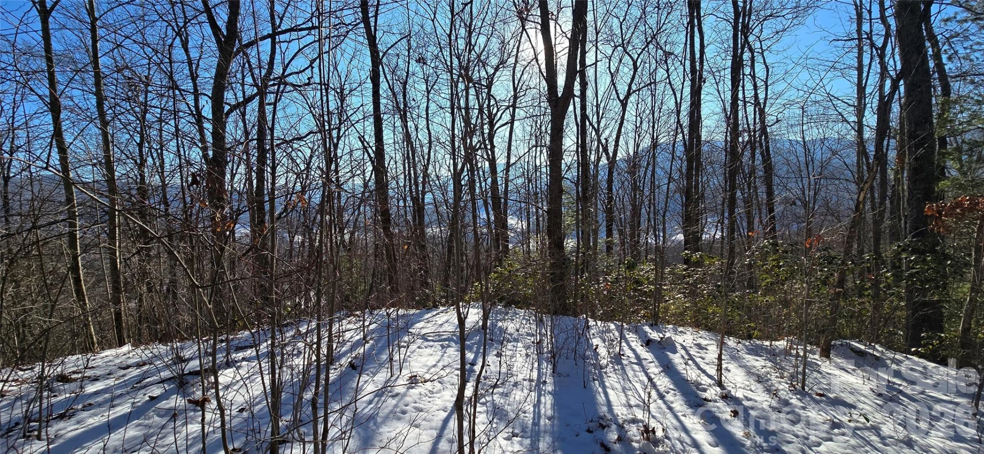 Lot 11 Bernies Trail - Photo 2