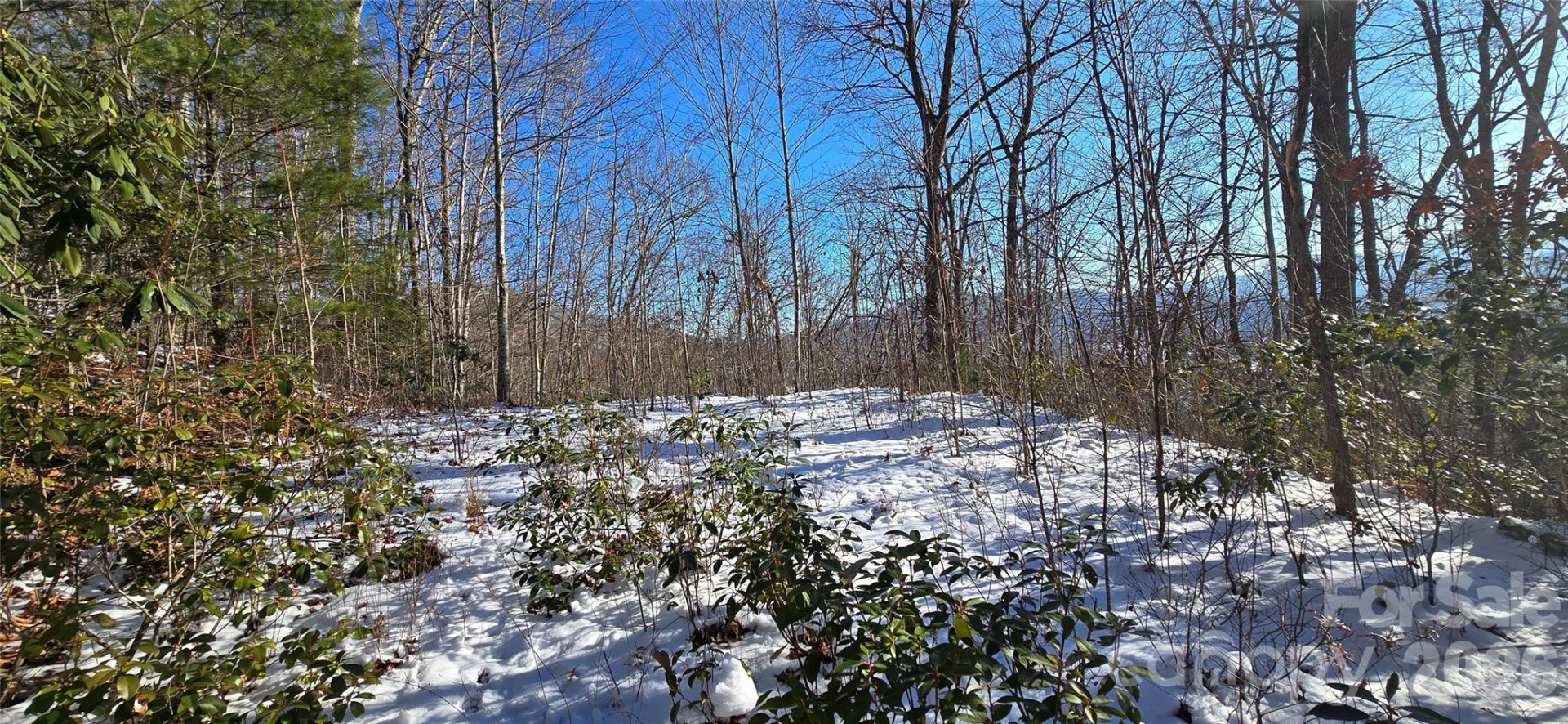 Lot 11 Bernies Trail - Photo 11