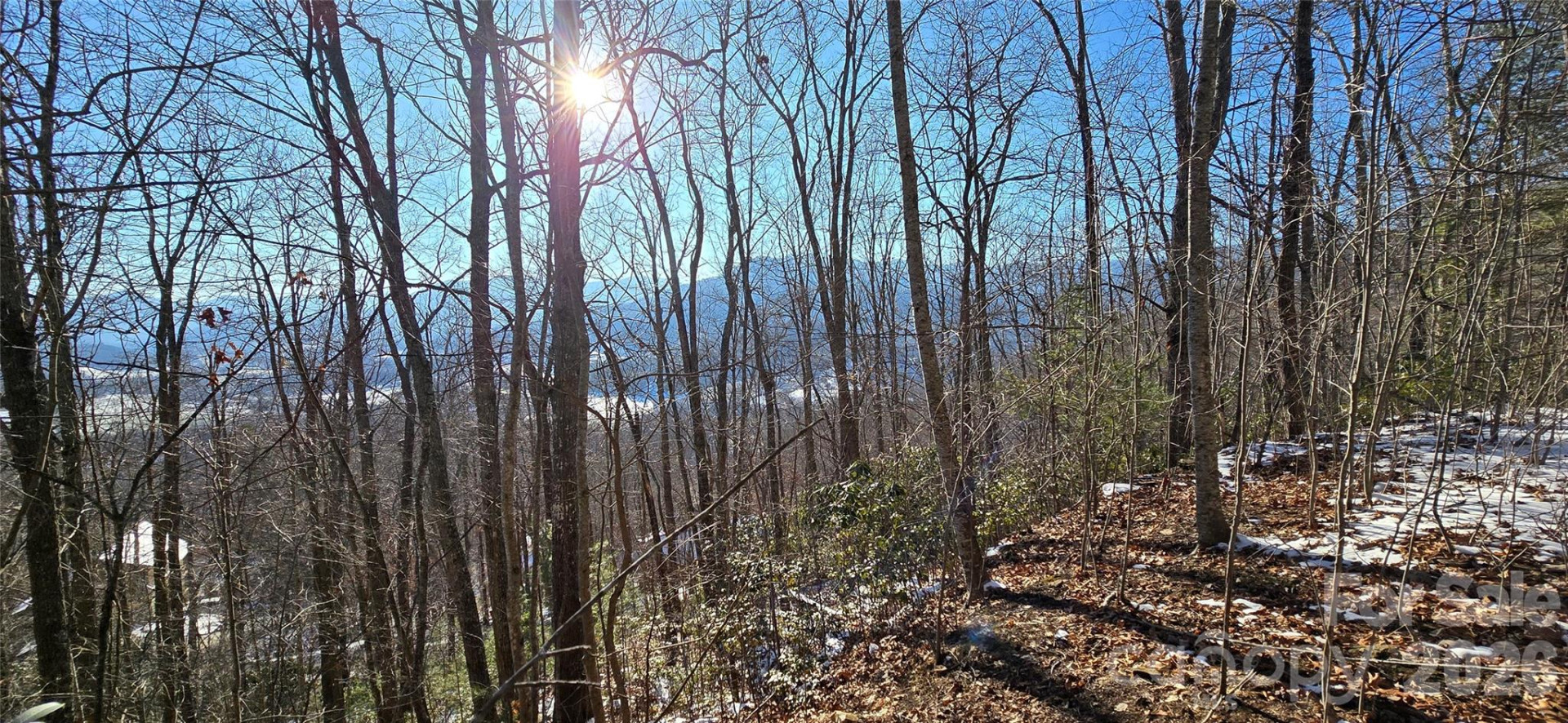 Lot 11 Bernies Trail - Photo 12