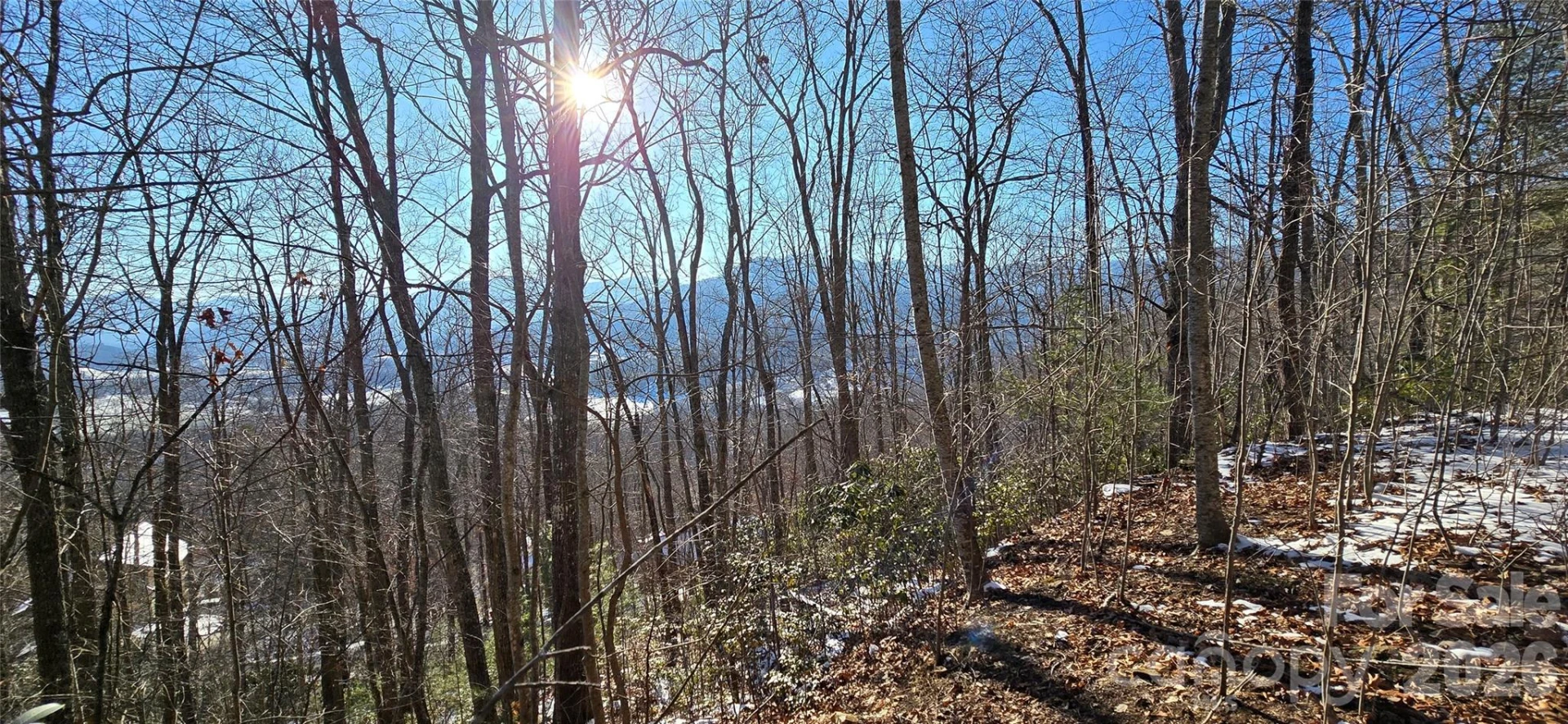 Lot 11 Bernies Trail - Photo 12