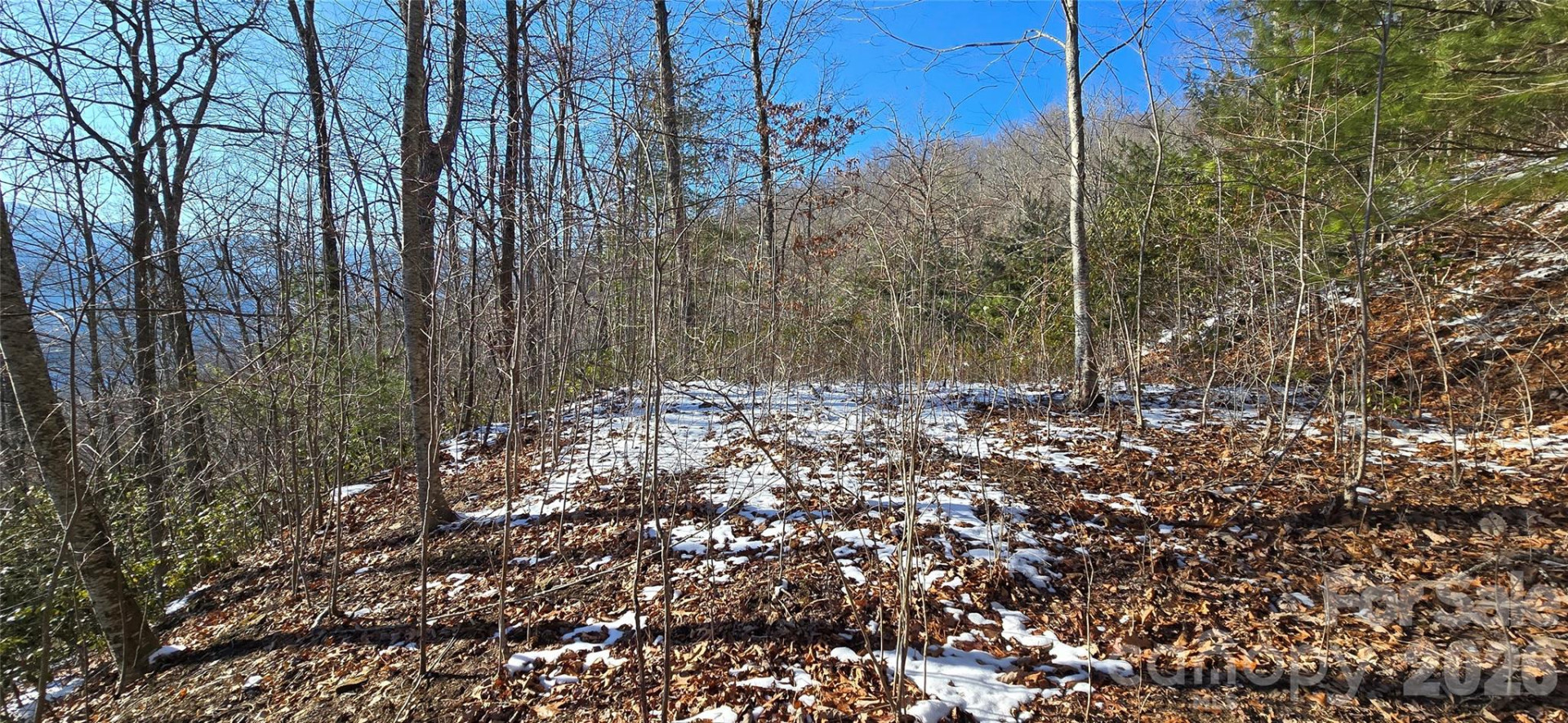 Lot 11 Bernies Trail - Photo 13