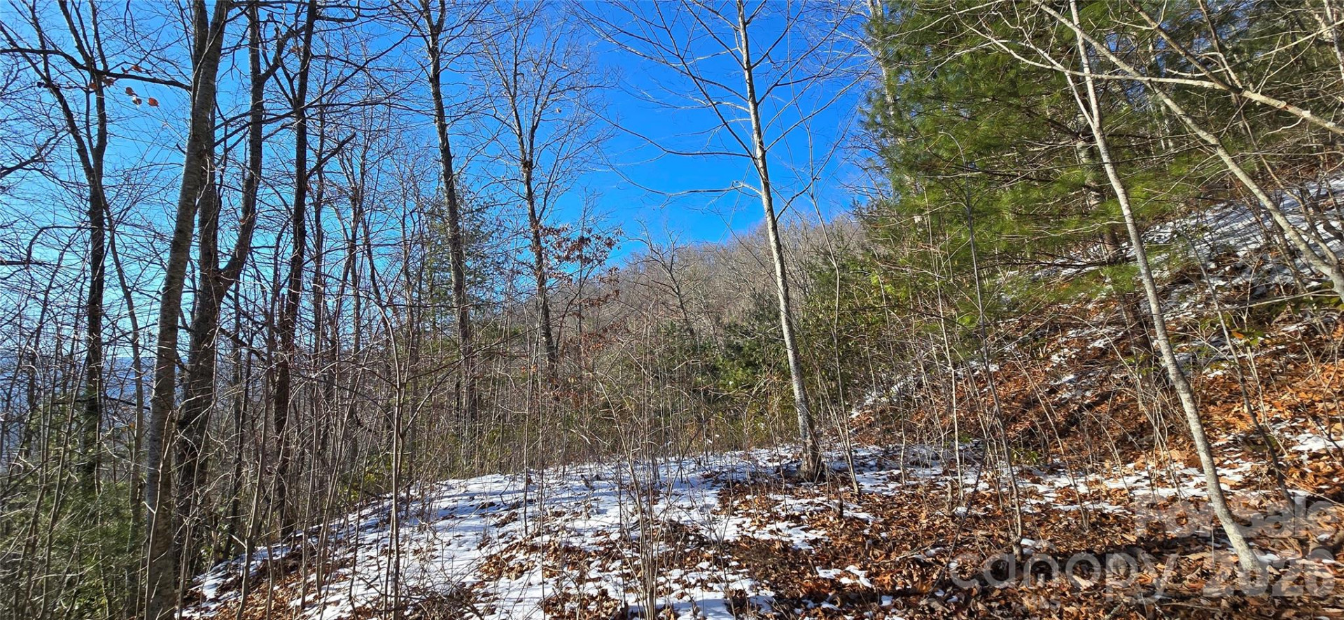 Lot 11 Bernies Trail - Photo 14