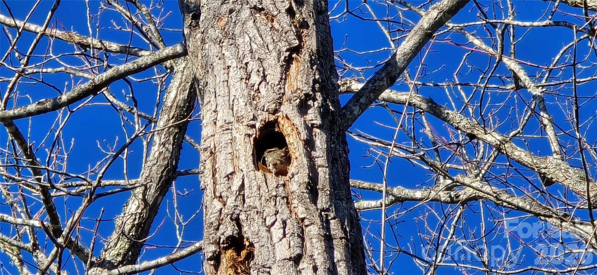 Lot 11 Bernies Trail - Photo 17