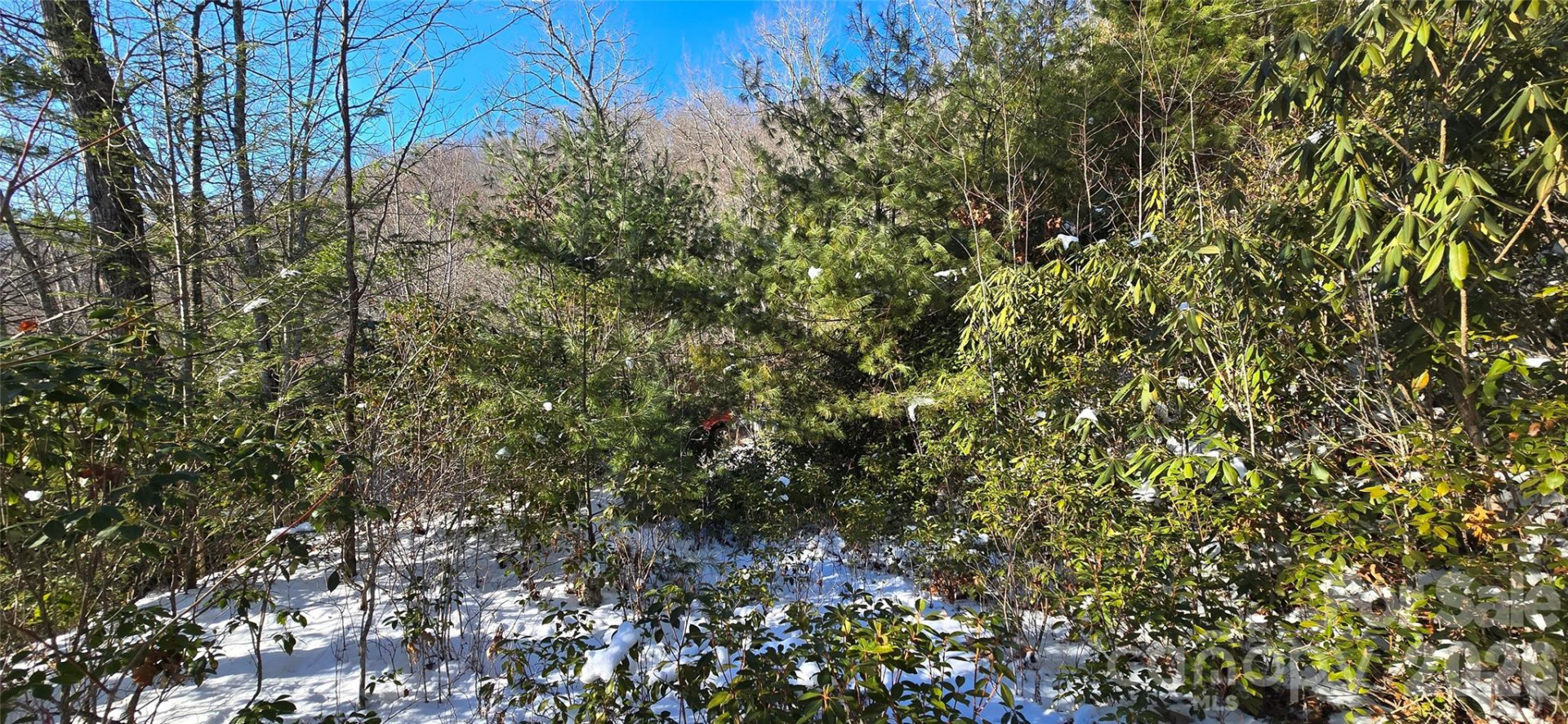 Lot 11 Bernies Trail - Photo 18