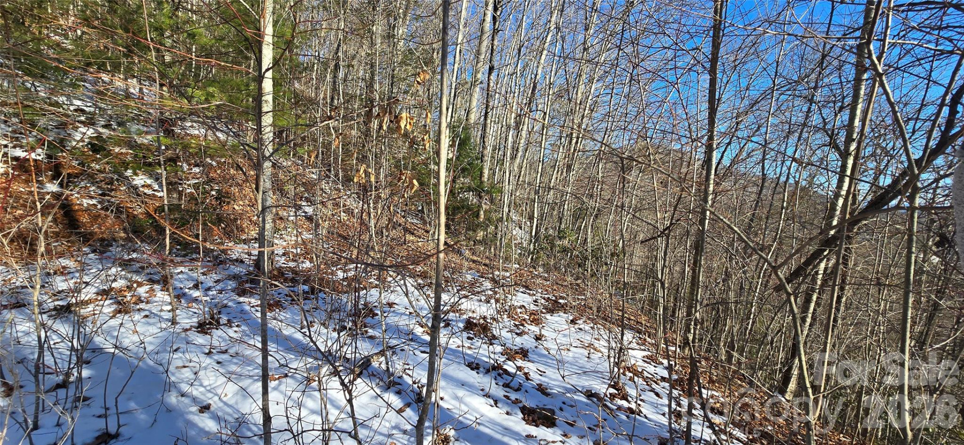 Lot 11 Bernies Trail - Photo 19
