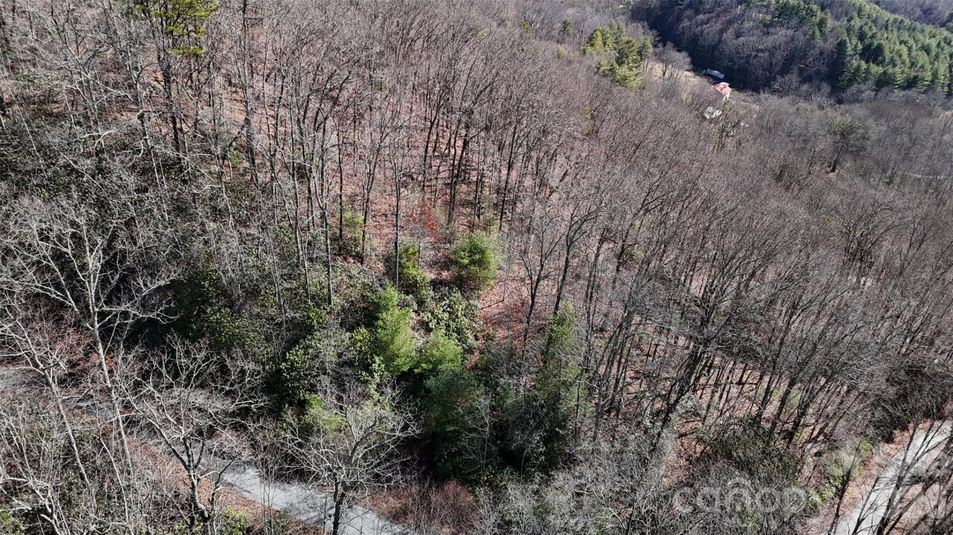 Lot 11 Bernies Trail - Photo 20