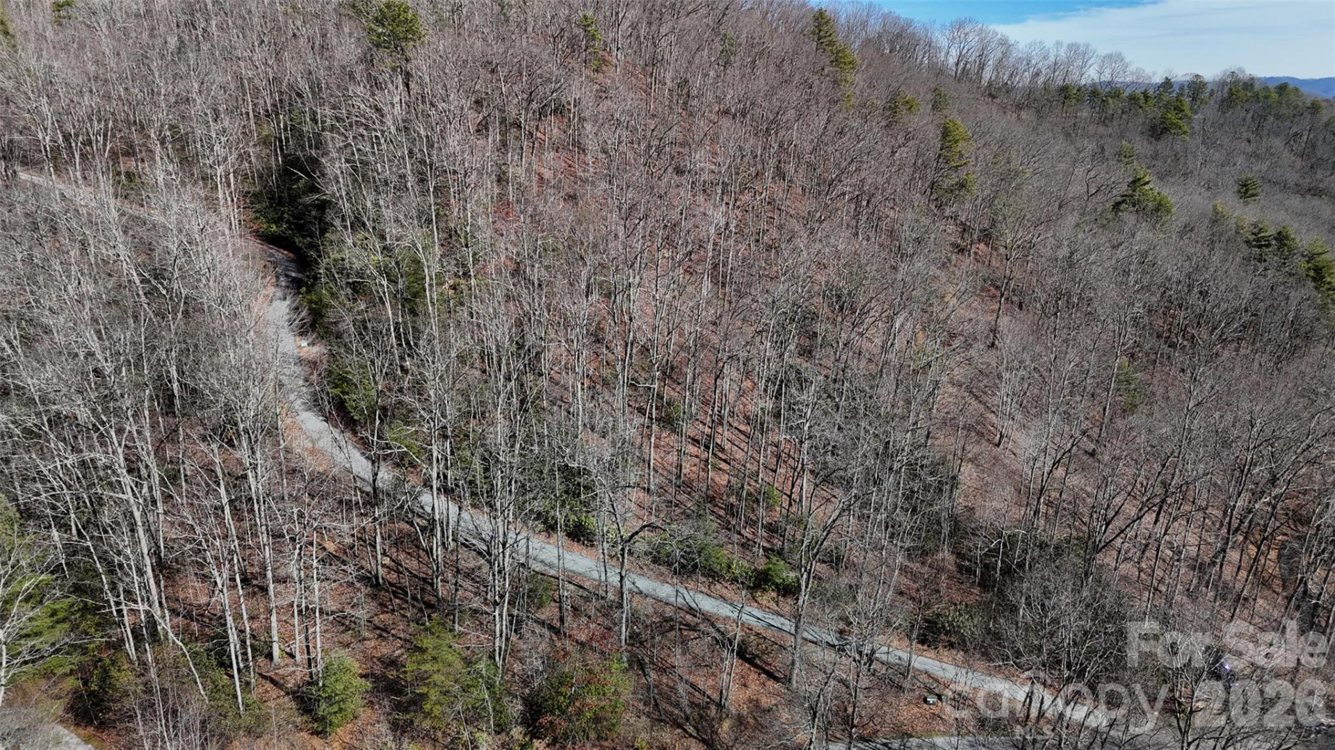 Lot 11 Bernies Trail - Photo 21