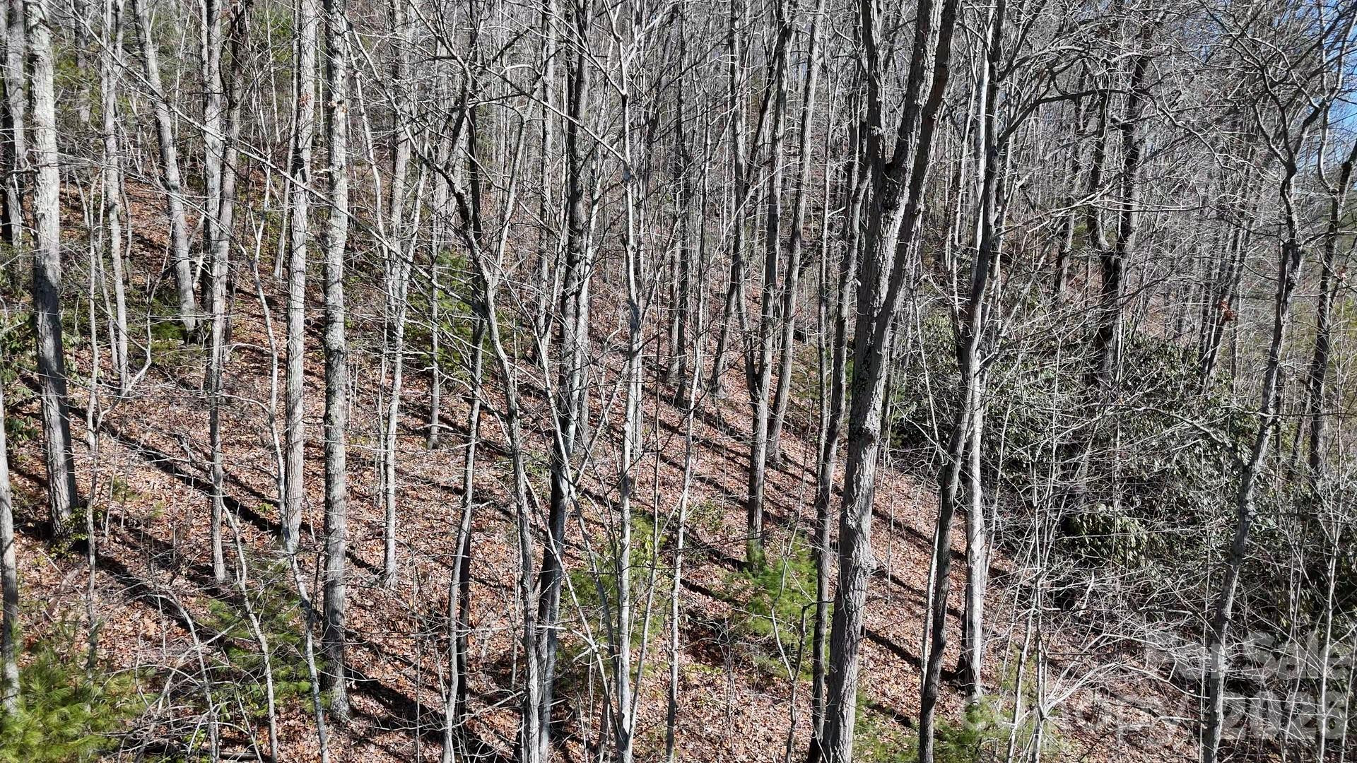 Lot 11 Bernies Trail - Photo 24