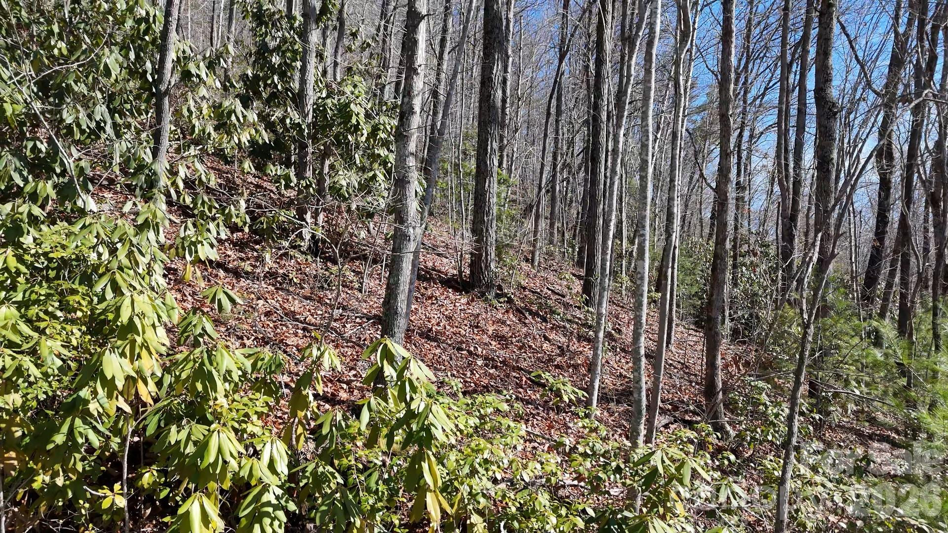 Lot 11 Bernies Trail - Photo 25
