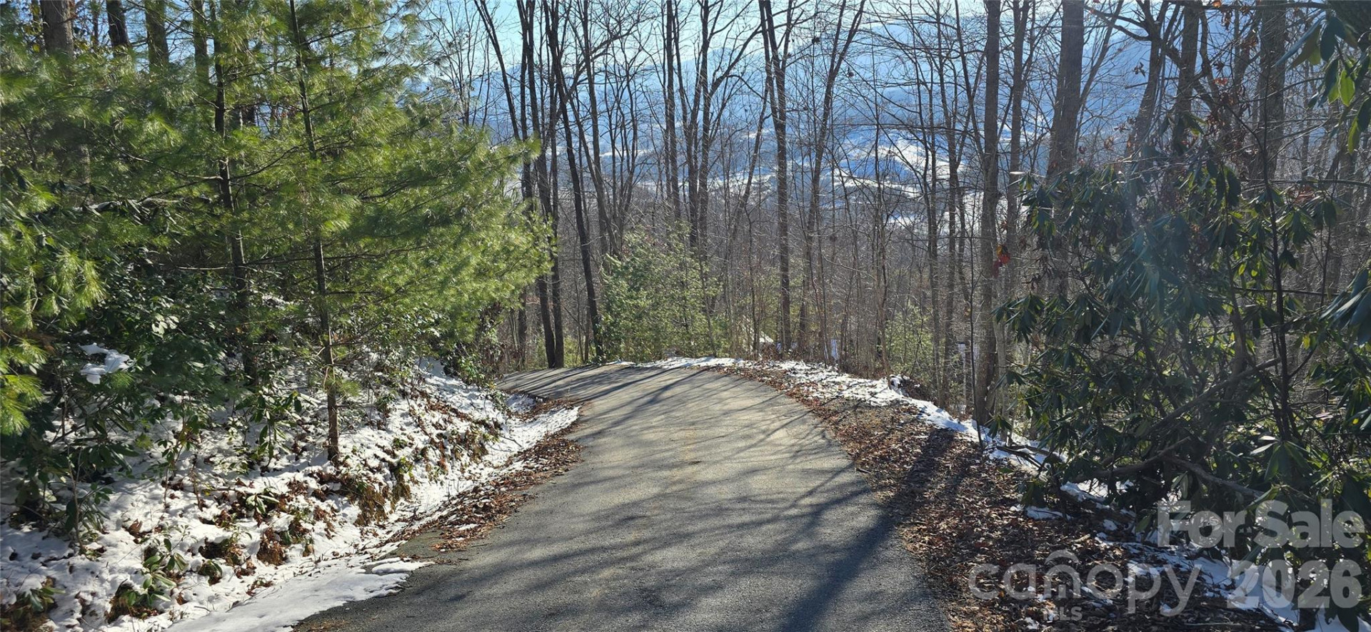 Lot 11 Bernies Trail - Photo 5