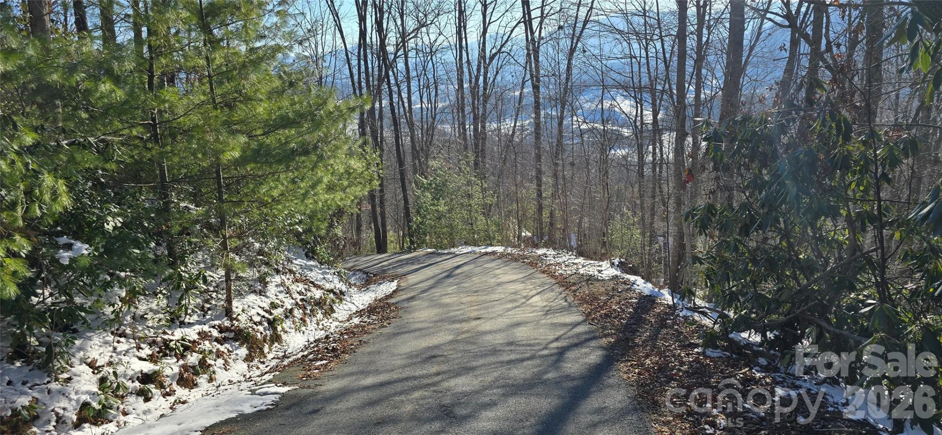 Lot 11 Bernies Trail - Photo 5