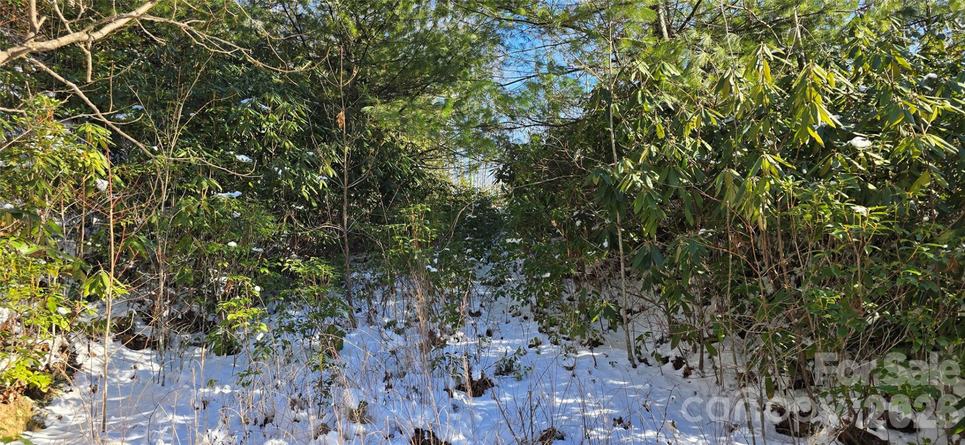 Lot 11 Bernies Trail - Photo 9