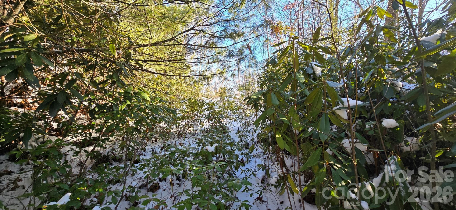 Lot 11 Bernies Trail - Photo 10