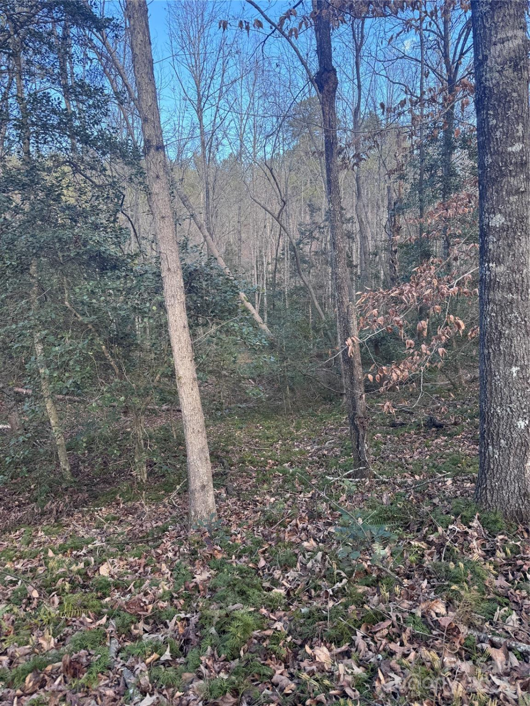 0 Hearthstone Drive #70 - Photo 2