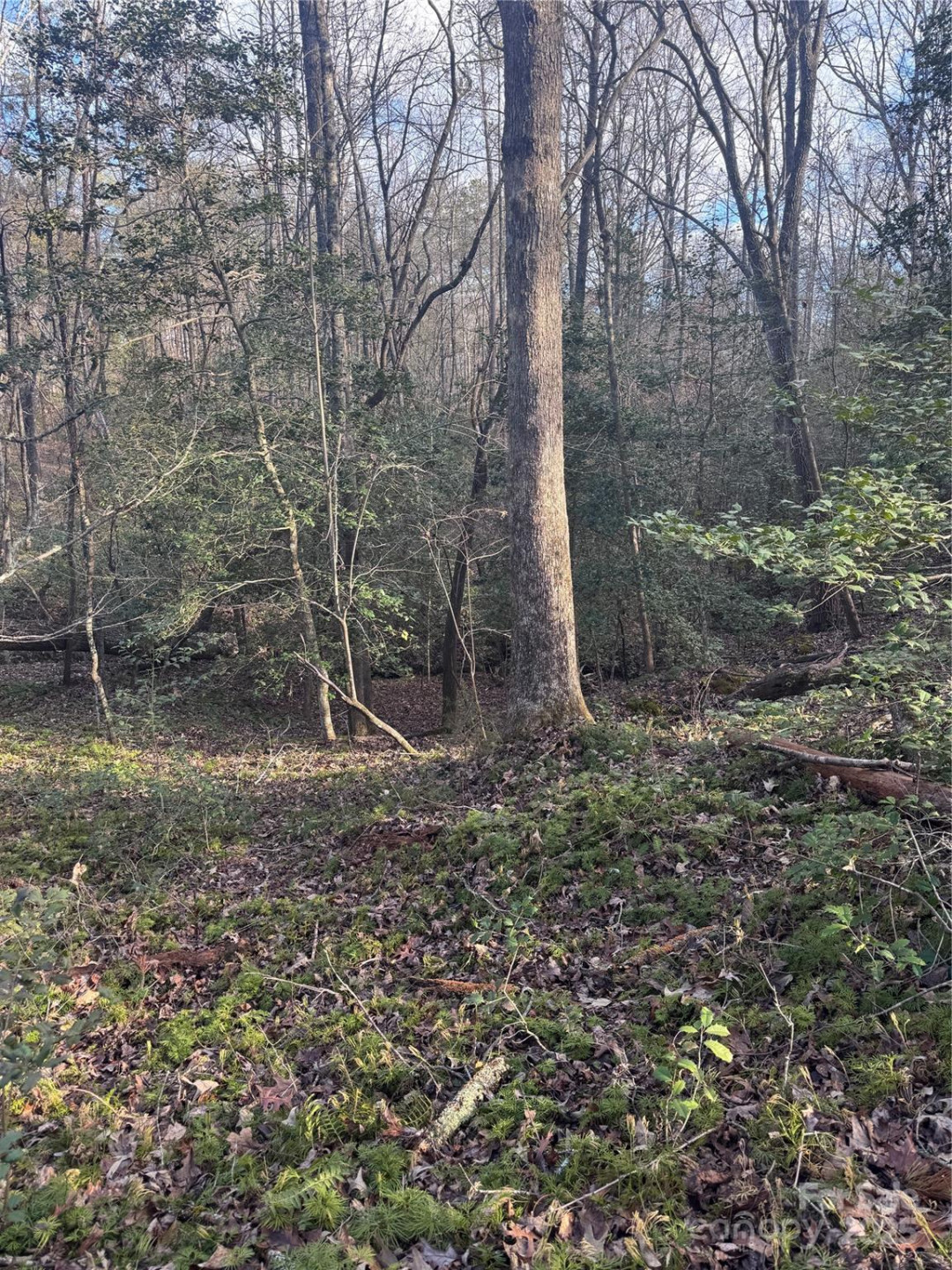 0 Hearthstone Drive #70 - Photo 11