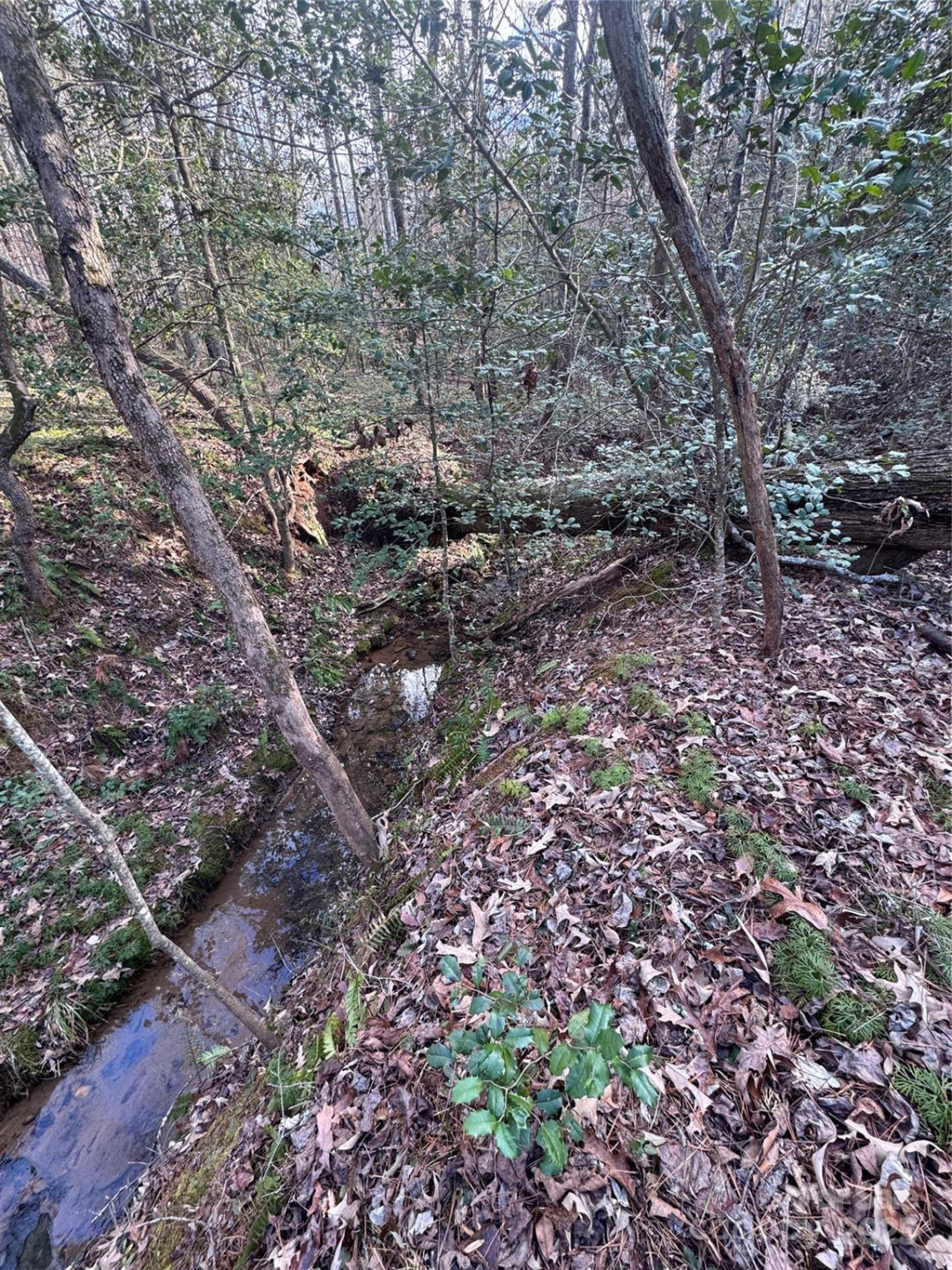 0 Hearthstone Drive #70 - Photo 12