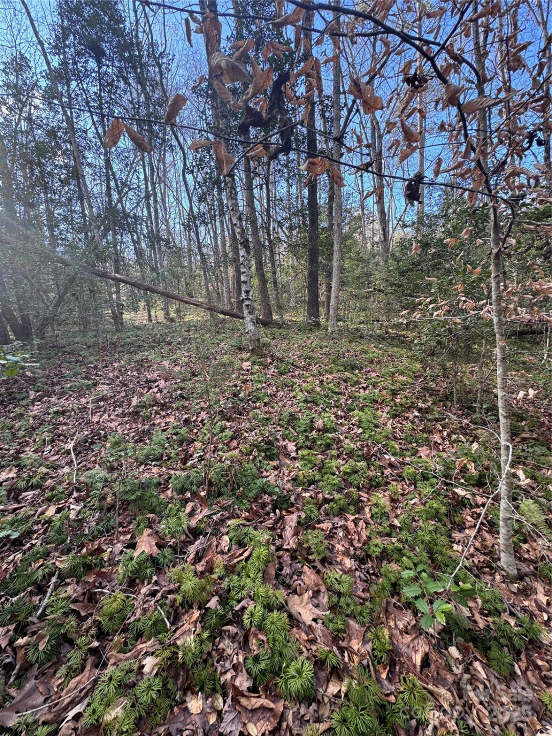 0 Hearthstone Drive #70 - Photo 16