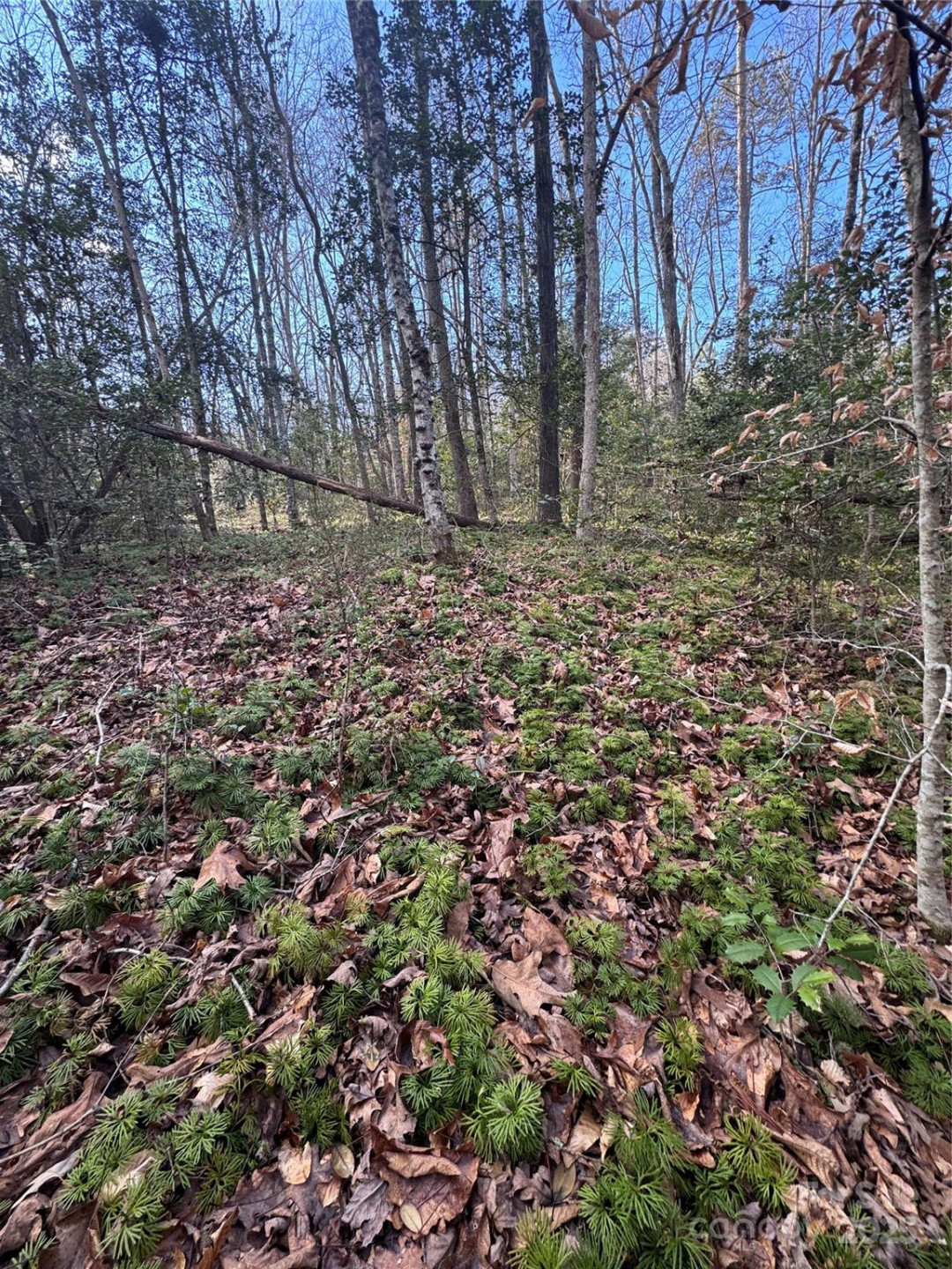 0 Hearthstone Drive #70 - Photo 17