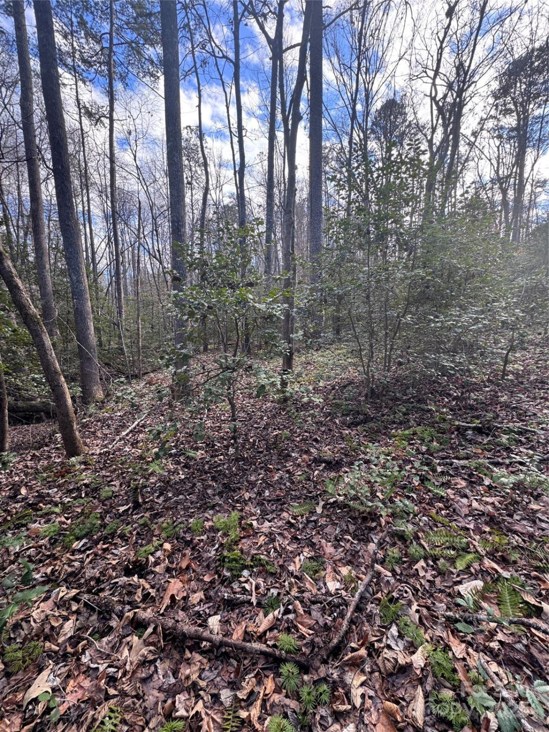 0 Hearthstone Drive #70 - Photo 3