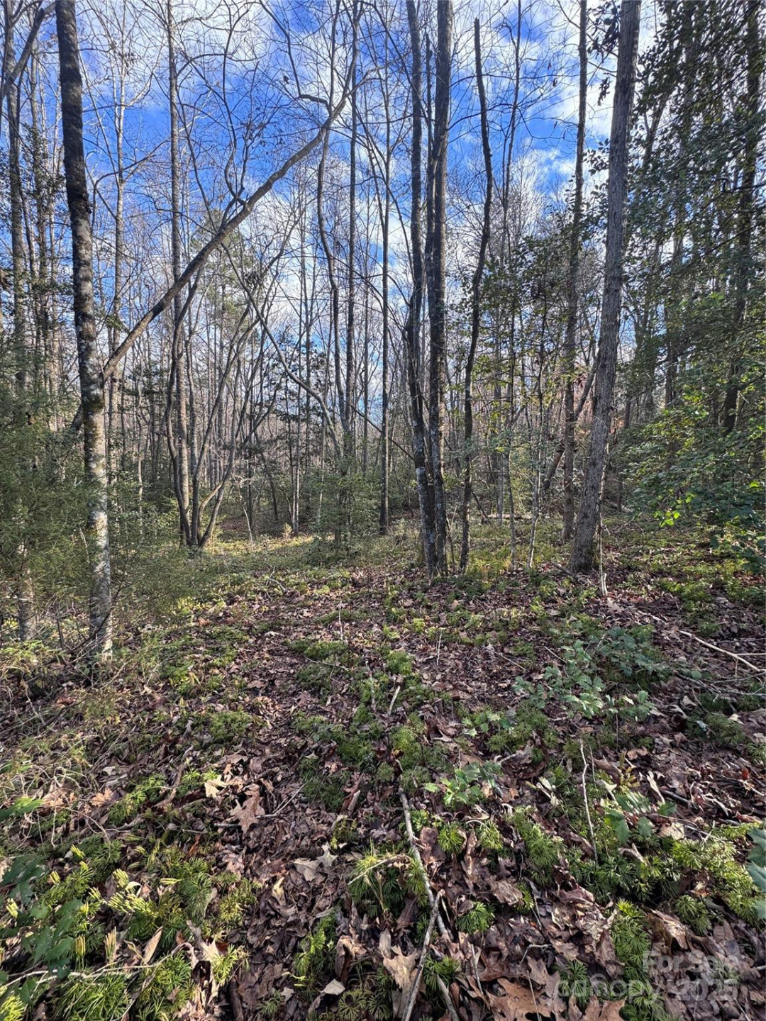 0 Hearthstone Drive #70 - Photo 4