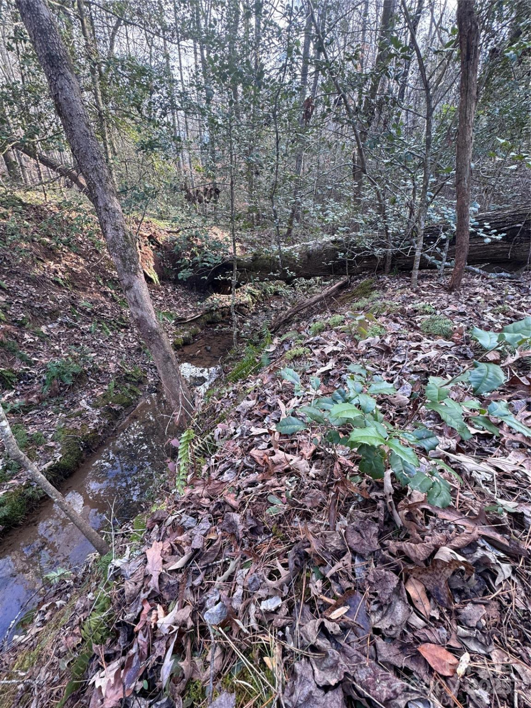 0 Hearthstone Drive #70 - Photo 5