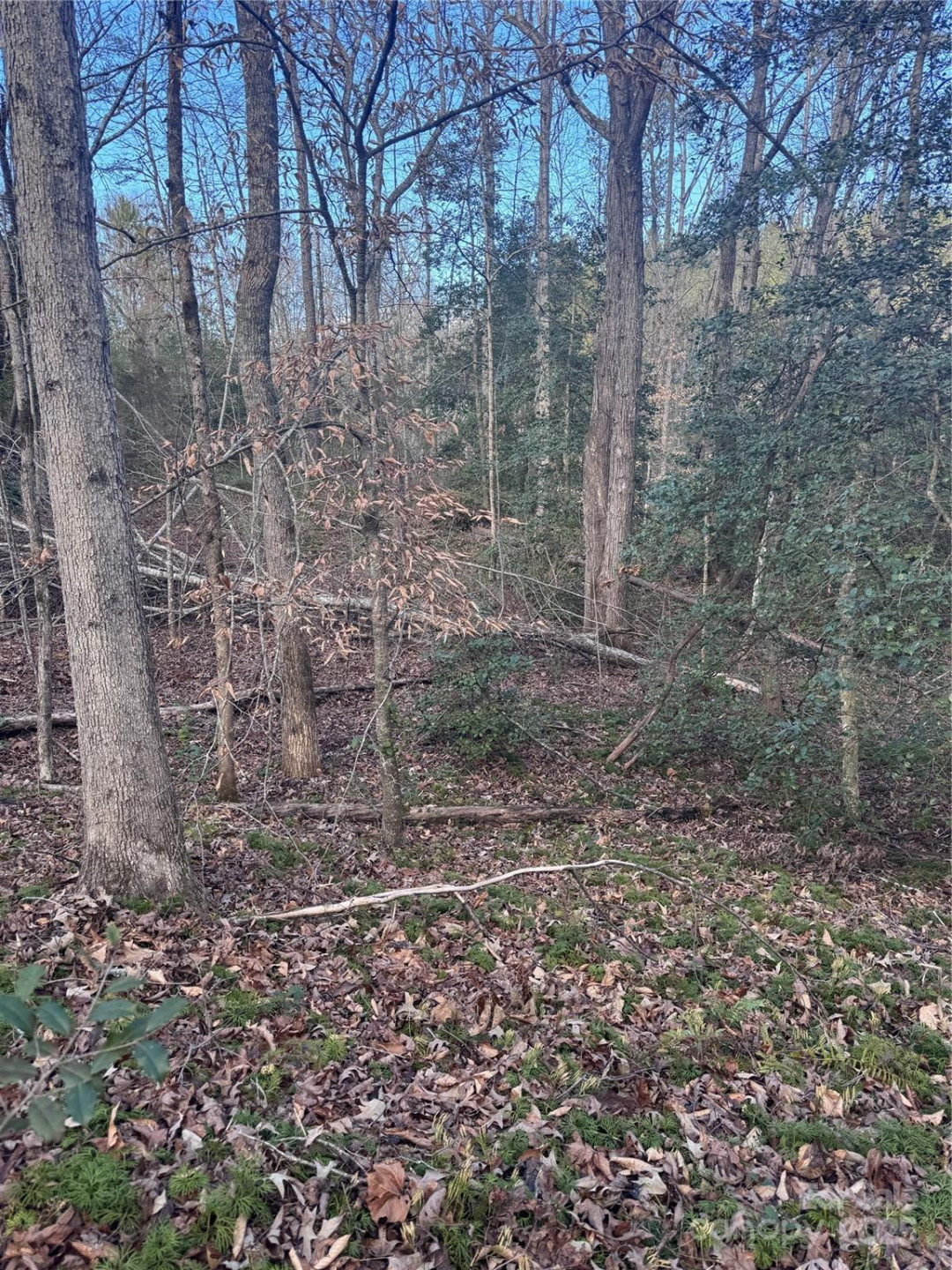 0 Hearthstone Drive #70 - Photo 6