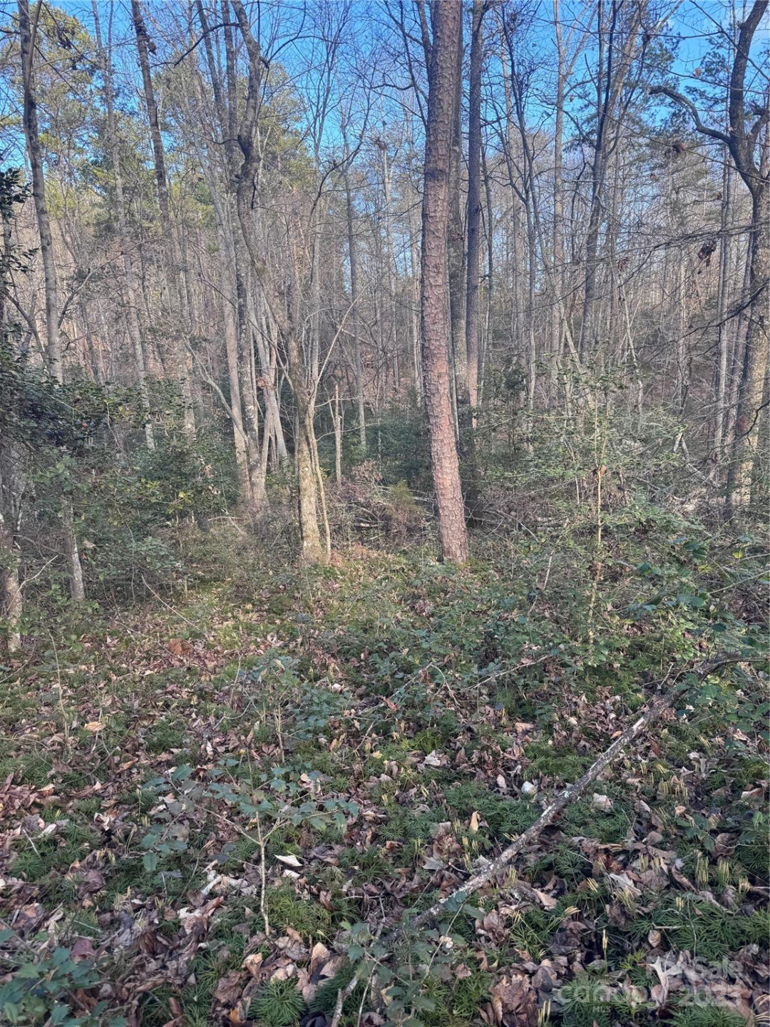 0 Hearthstone Drive #70 - Photo 7