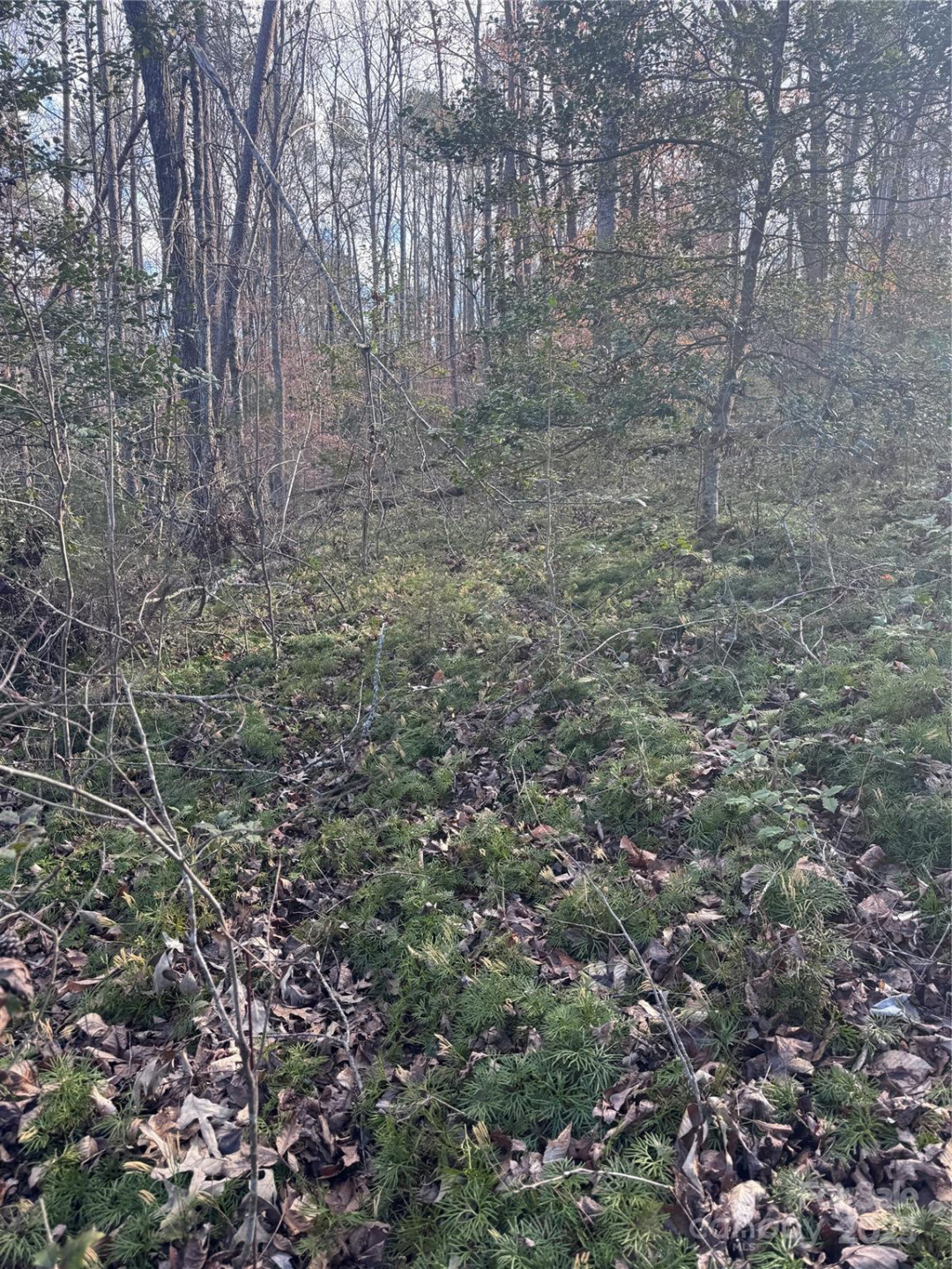 0 Hearthstone Drive #70 - Photo 8