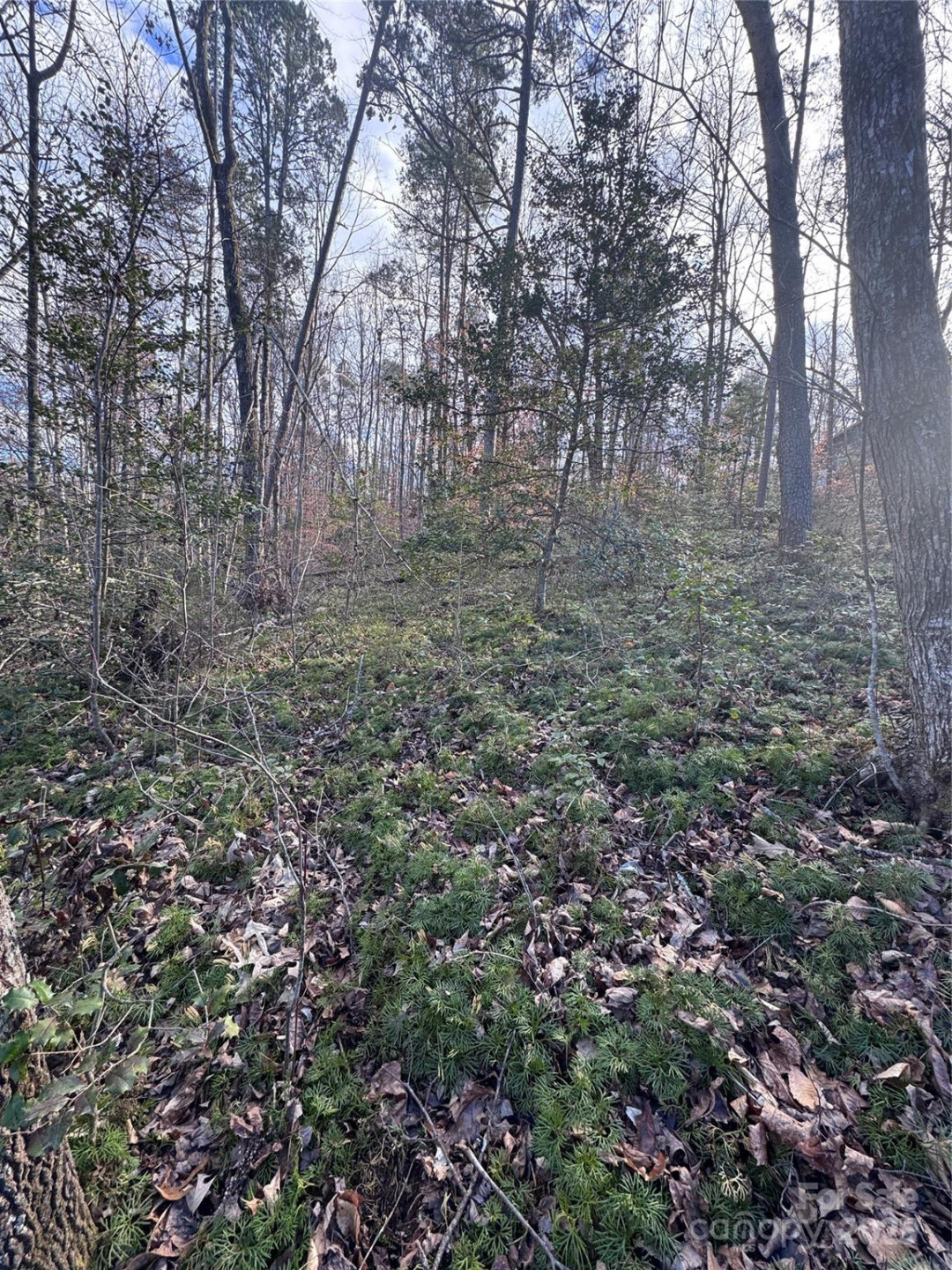 0 Hearthstone Drive #70 - Photo 9