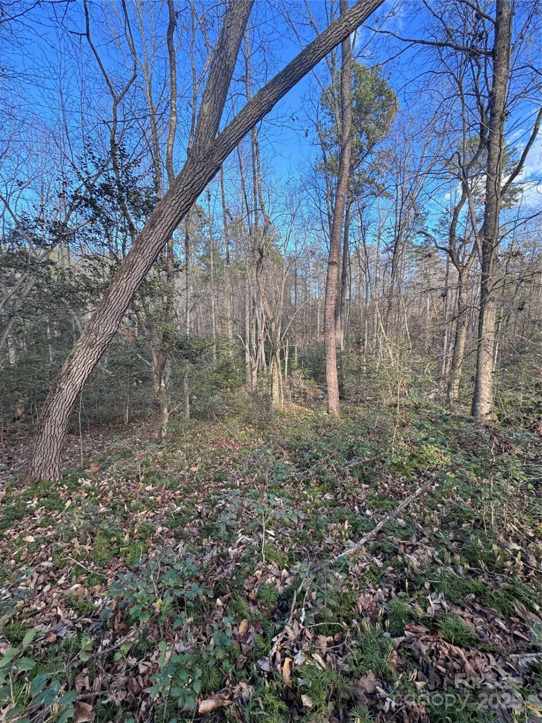 0 Hearthstone Drive #70 - Photo 10