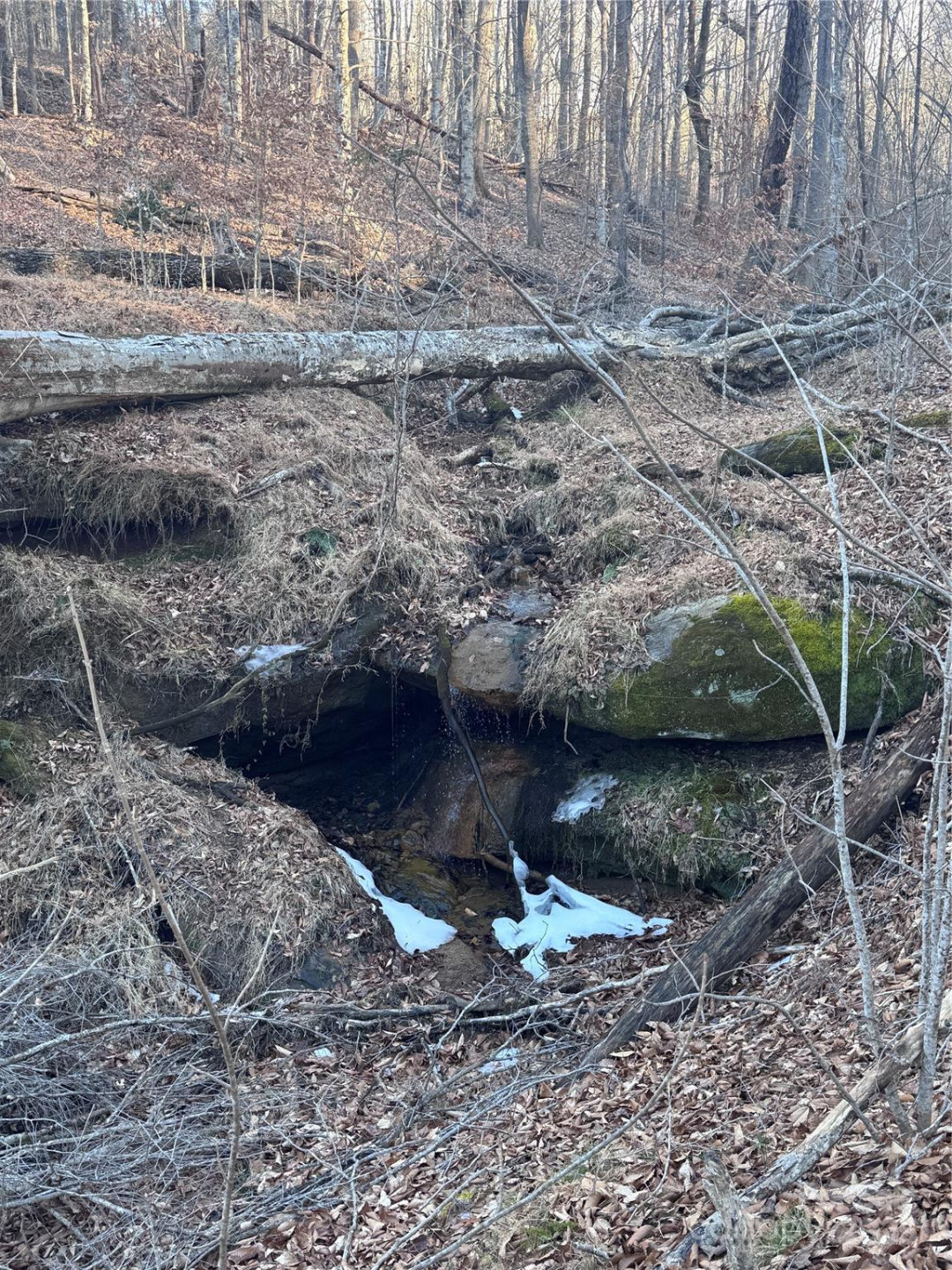 0 Creekside Circle #126